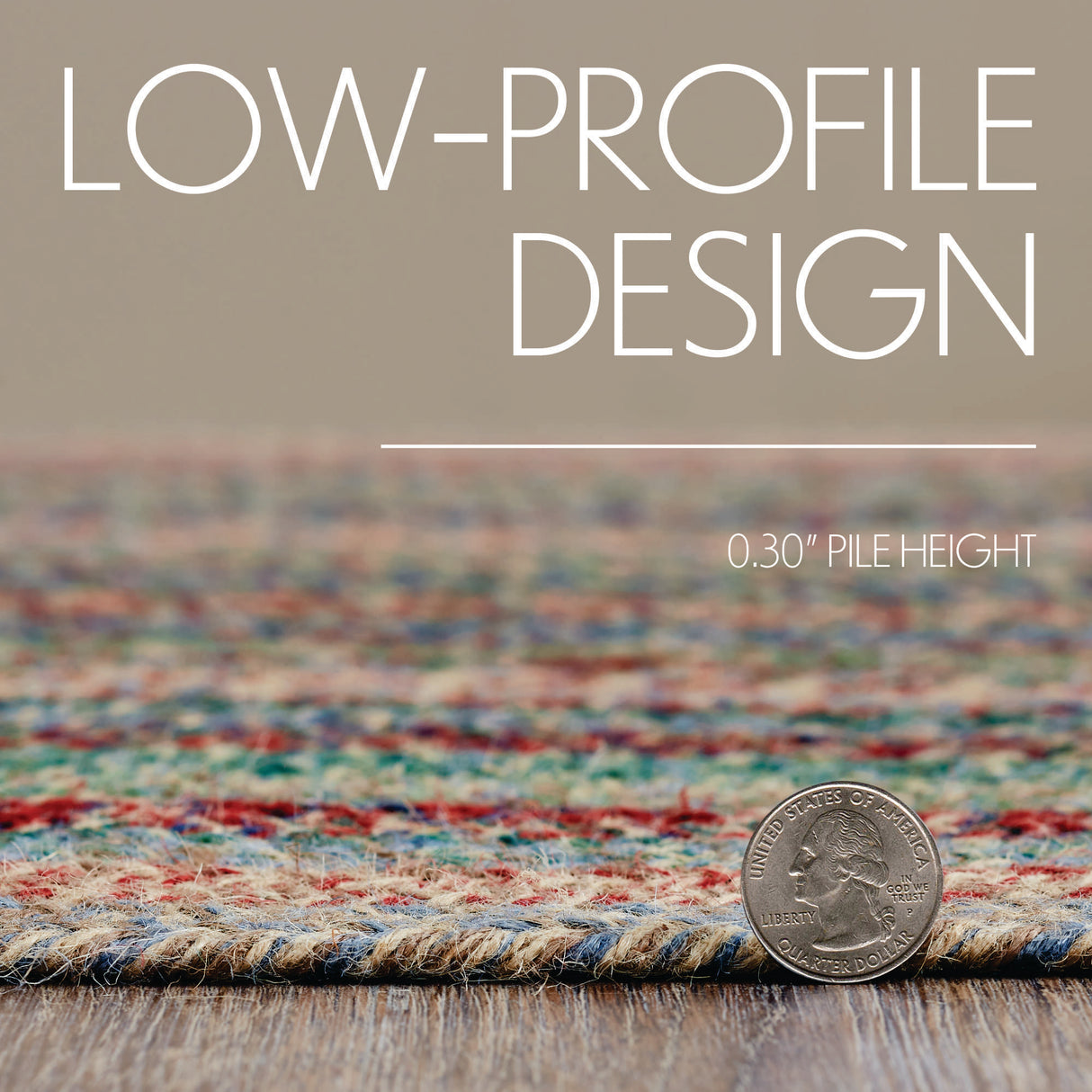 Multi Jute Rug Rect 24x36