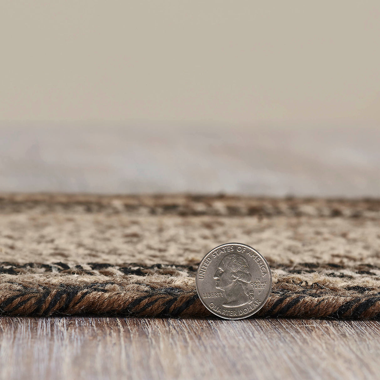 Espresso Indoor/Outdoor Medium Bone Rug 15x23