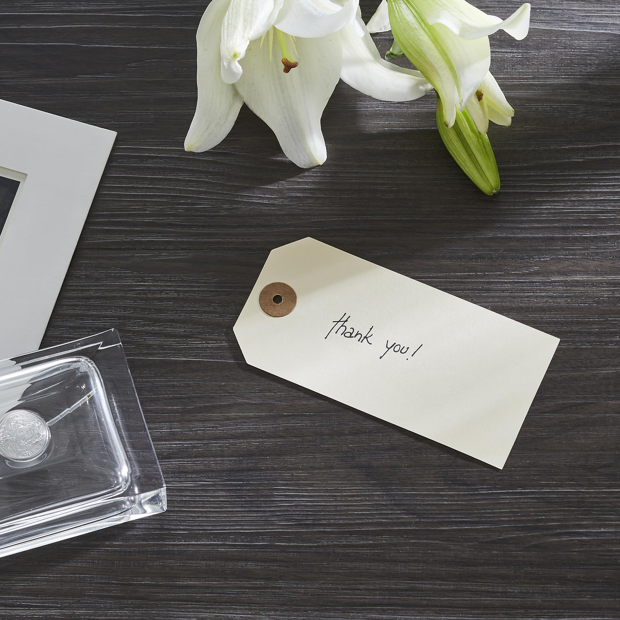 9pt Creme Manila Tag Set of 100 Size #5