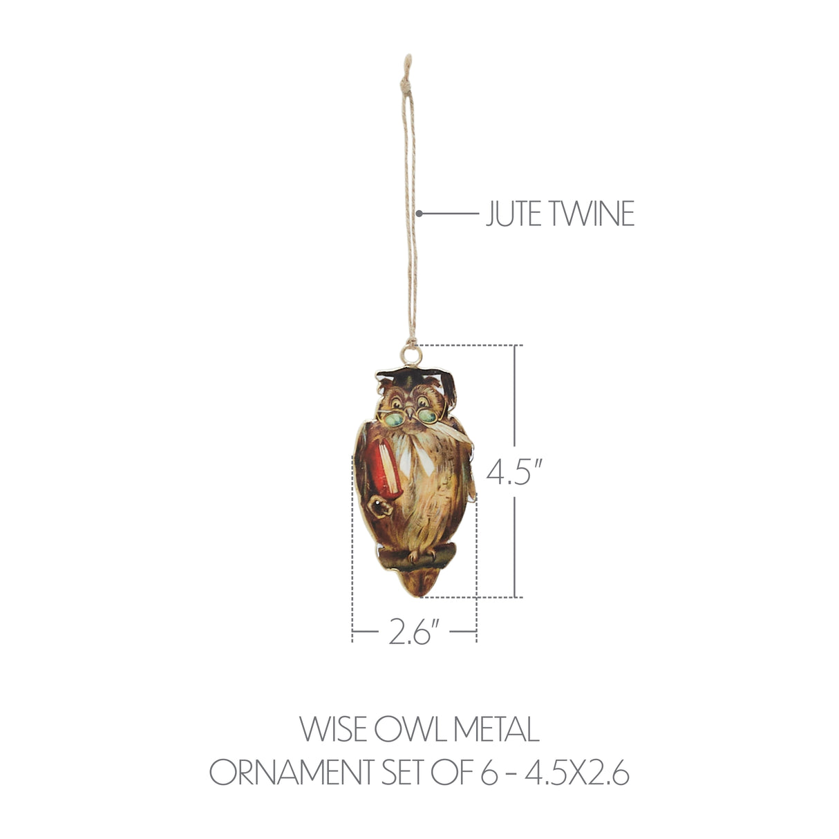 Wise Owl Metal Ornament Set of 6 - 4.5 inch