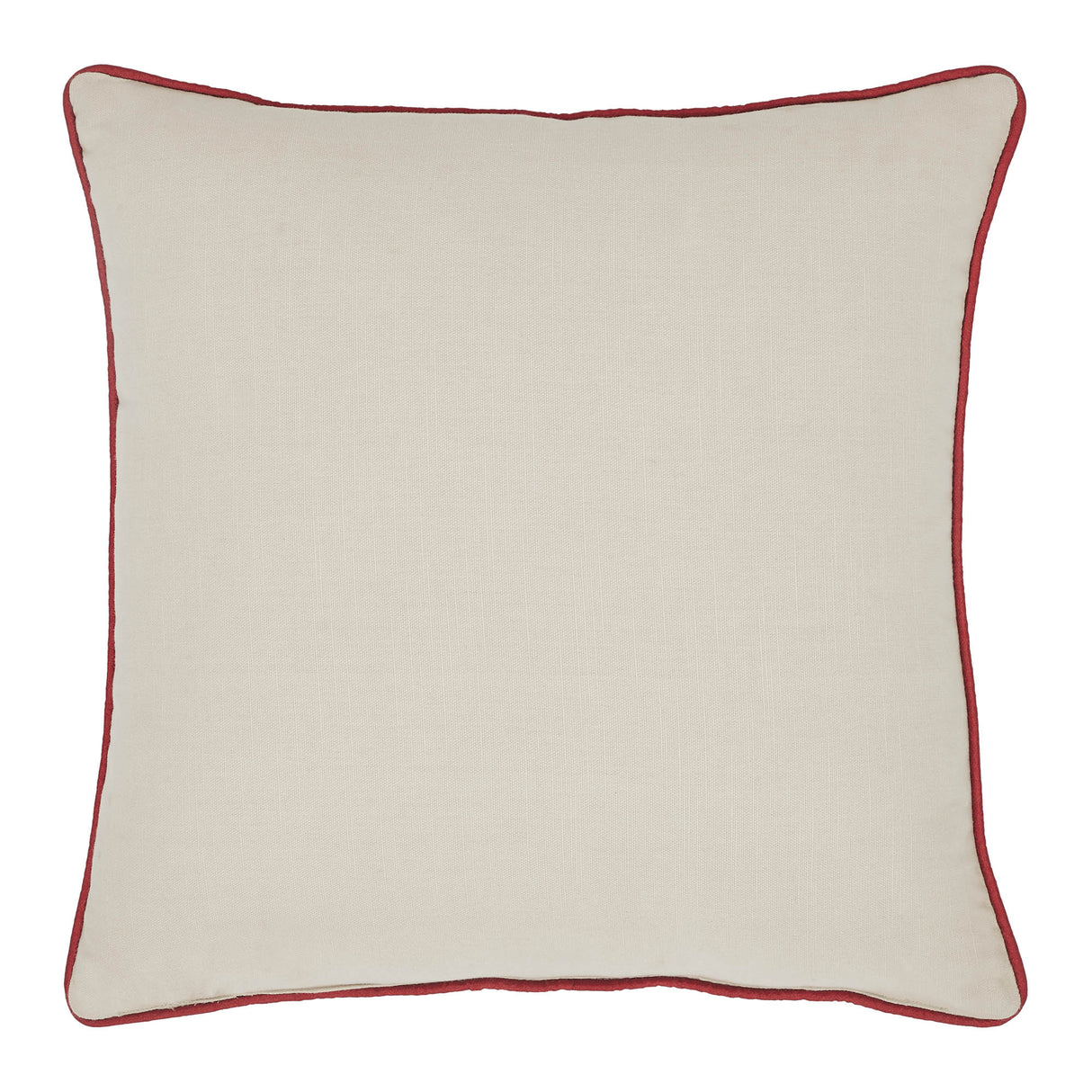 85027-Let's-Get-Poppin-Pillow-18x18-image-3