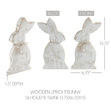 VHC Brands Spring In Bloom 2PC Spring In Bloom Wooden Upright Bunny Silhouette w/ Twine ,Small and Large