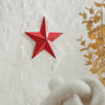 Metal Star Speckled Distressed