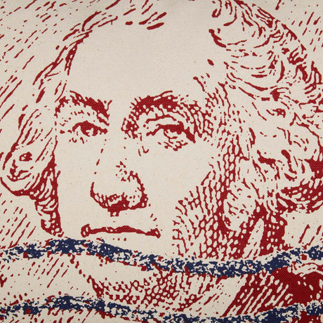 70168-George-Washington-Pillow-14x22-image-6