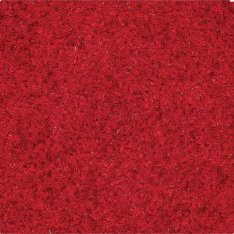 32227-Dyani-Red-Placemat-Set-of-6-12x18-image-3